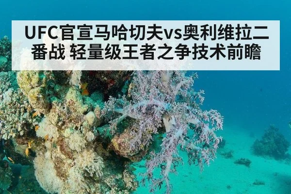 UFC官宣马哈切夫vs奥利维拉二番战 轻量级王者之争技术前瞻