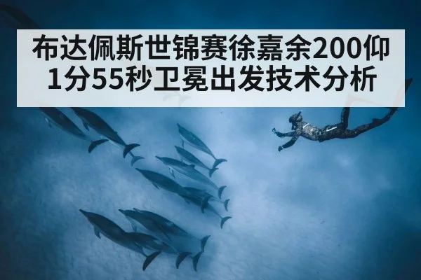 布达佩斯世锦赛徐嘉余200仰1分55秒卫冕出发技术分析